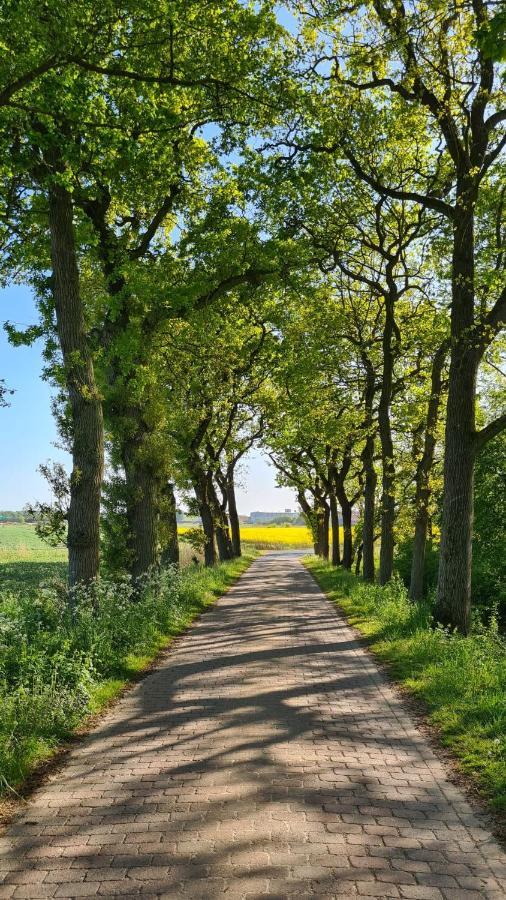 Ferienwohnung Baltrum Auf Dem Elisenhof Hagermarsch Luaran gambar